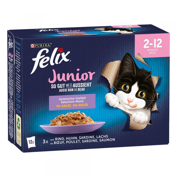 Felix Junior, w galarecie, So gut wie es aussieht, 12 x 85 g - 4 smaki