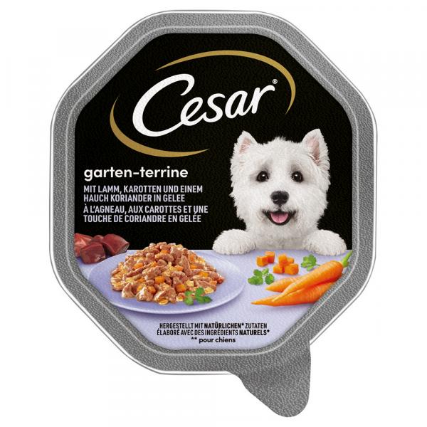 Cesar w tackach, 14 x 150 g - Jagnięcina z marchwią i kolendrą w galarecie