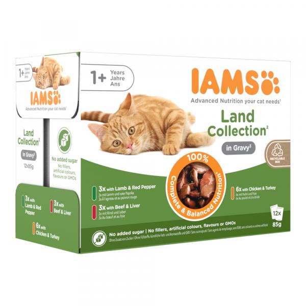 IAMS Delights Adult Mięsne smaki - Mięsne smaki w sosie, 12 x 85 g