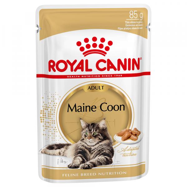 Megapakiet Royal Canin, 24 x 85 g - Breed Maine Coon Adult w sosie