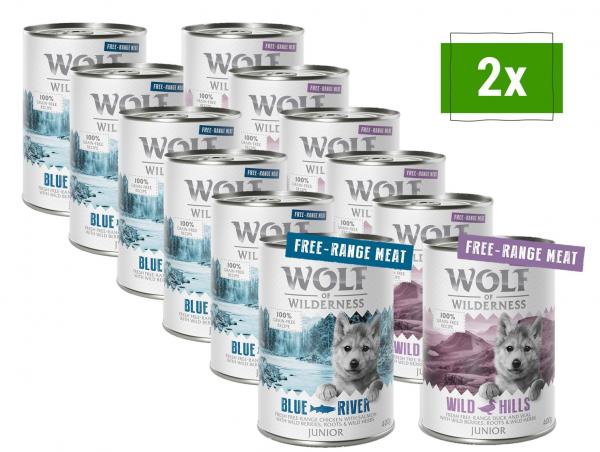 Pakiet mieszany Wolf of Wilderness JUNIOR - 12 x 400 g: 6x kurczak z wolnego wybiegu i łosoś, 6x kaczka i cielęcina z wolnego wybiegu