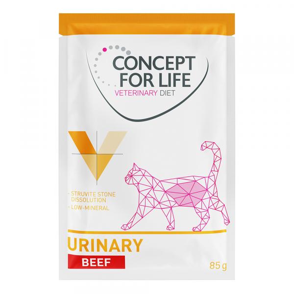 Concept for Life Veterinary Diet Urinary, wołowina - 12 x 85 g