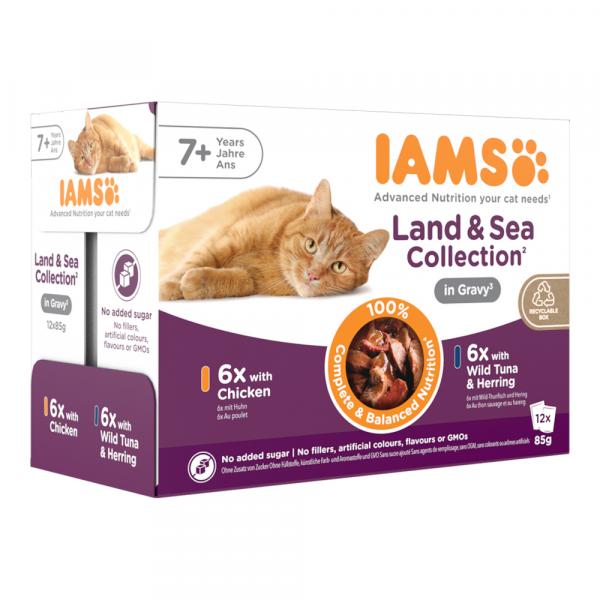 36 + 12 gratis! IAMS Advanced Nutrition, karma mokra dla kota, 48 x 85 g - Senior Land & Sea Collection w sosie
