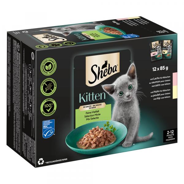 Sheba Kitten wybór smaków, 12 x 85 g - Kompozycja w sosie