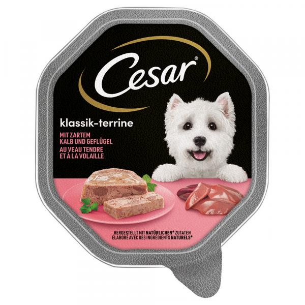 Megapakiet Cesar w tackach, 28 x 150 g - Classic, pasztet z cielęciną i drobiem