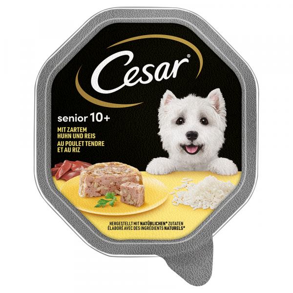 Cesar Senior 10+ w tackach, 28 x 150 g - Kurczak i ryż