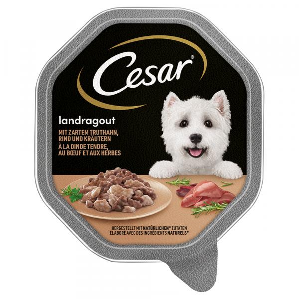 Cesar w tackach, 14 x 150 g - Landragout, indyk z wołowiną i ziołami