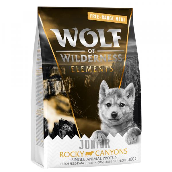 Pakiet próbny Wolf of Wilderness - bez zbóż - Junior Rocky Canyons, wołowina z wolnego wybiegu, 300 g