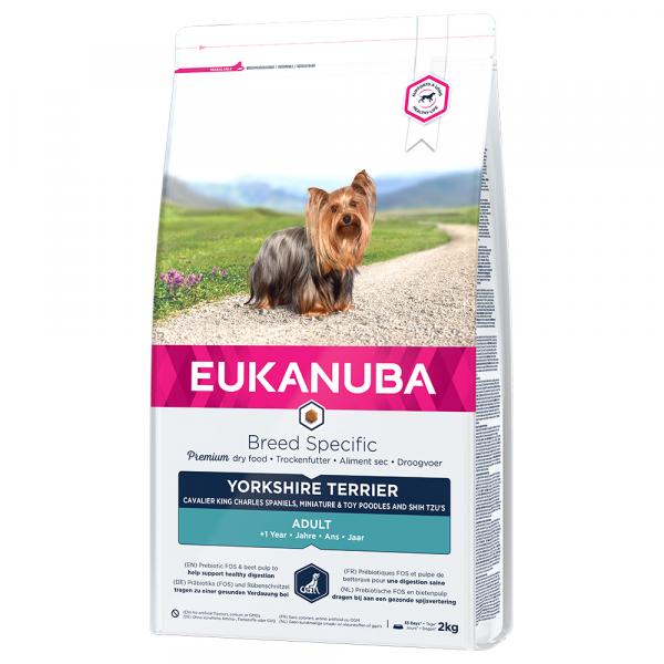 Eukanuba Adult Breed Specific Yorkshire Terrier - 2 x 2 kg