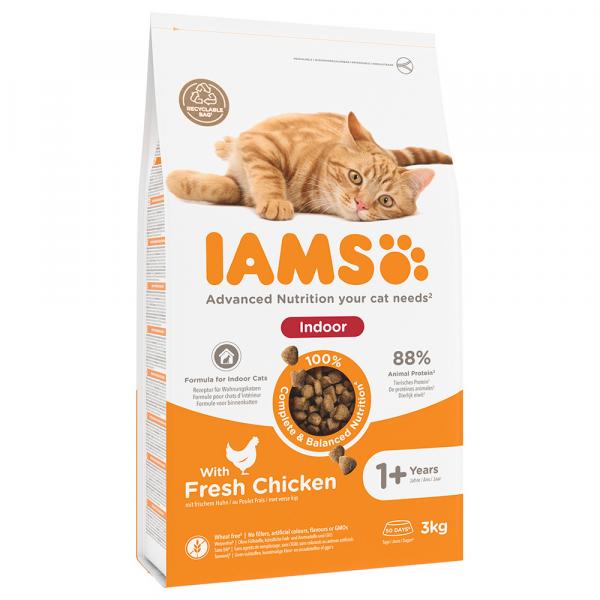 15% taniej! IAMS, sucha karma dla kota, różne rodzaje, 3 kg - Advanced Nutrition Indoor Cat z kurczakiem