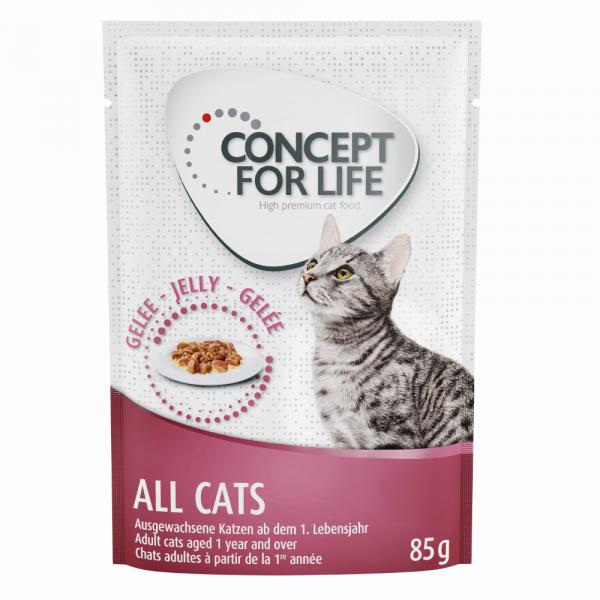 Concept for Life All Cats w galarecie - 12 x 85 g