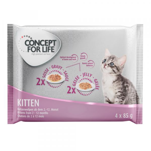 Pakiet próbny Concept for Life, 4 x 85 g - Kitten - 2 x w sosie, 2 x w galarecie