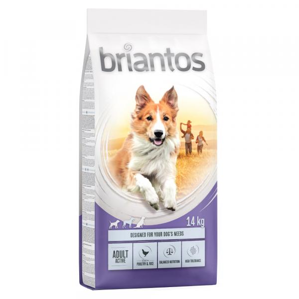 Briantos Adult Active - 2 x 14 kg