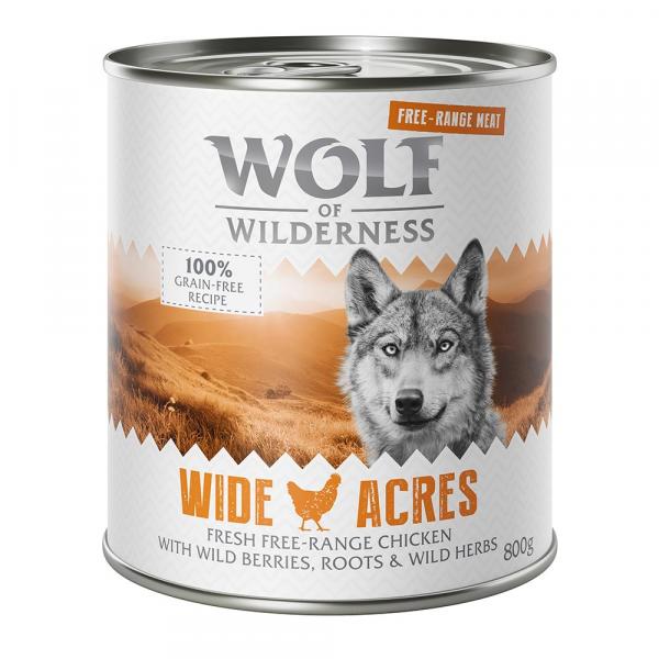 Wolf of Wilderness Adult \