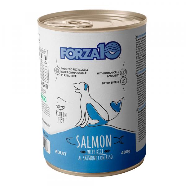 Forza 10 Maintenance, łosoś i ryż - 12 x 400 g