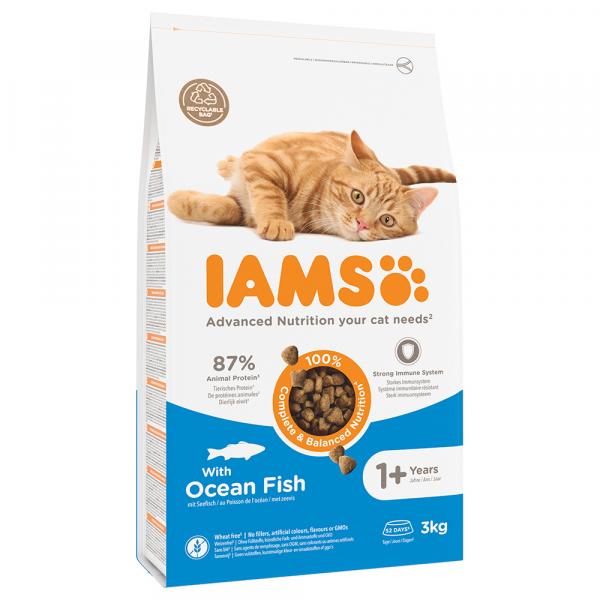 15% taniej! IAMS, sucha karma dla kota, różne rodzaje, 3 kg - Advanced Nutrition Adult Cat, z rybami morskimi