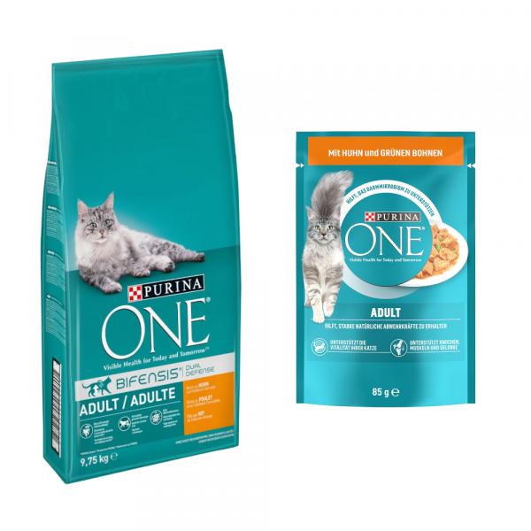 Purina ONE: 9,75 kg karma sucha + karma mokra, 13 x 85 g gratis! - Adult, kurczak ze zbożem pełnoziarnistym + Adult, kurczak z zieloną fasolką