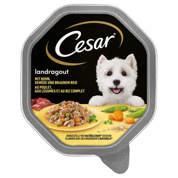 Megapakiet Cesar w tackach, 28 x 150 g - Landragout, kurczak z warzywami i brązowym ryżem