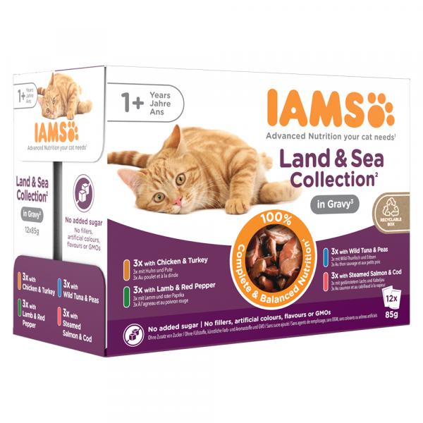 Pakiet mieszany IAMS Advanced Nutrition Adult, Land & Sea - W sosie, 48 x 85 g