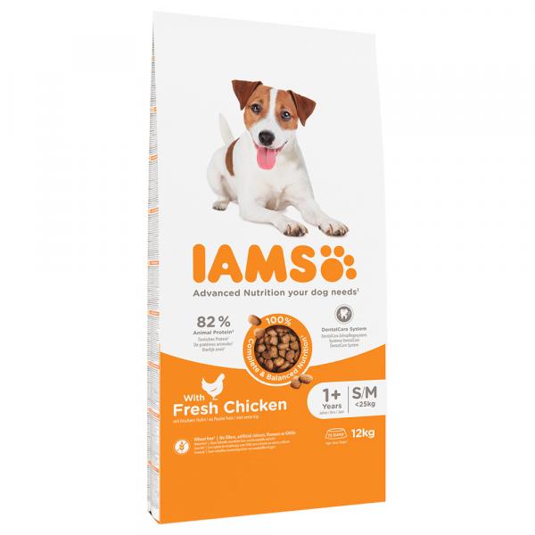 10 + 2 kg gratis! IAMS Advanced Nutrition, karma sucha dla psa, 12 kg - Adult Small & Medium Dog, kurczak