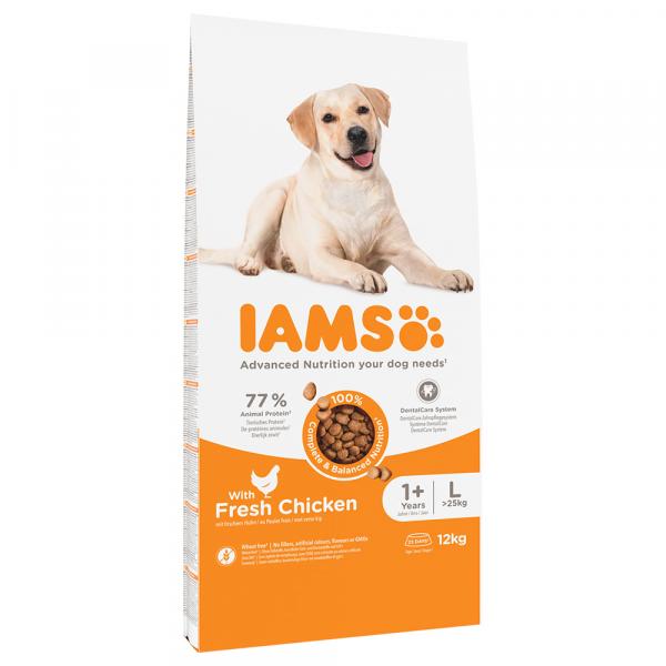 10 + 2 kg gratis! IAMS Advanced Nutrition, karma sucha dla psa, 12 kg - Adult Large Dog, kurczak