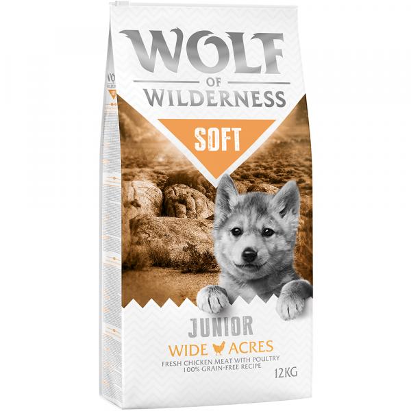 Dwupak Wolf of Wilderness \