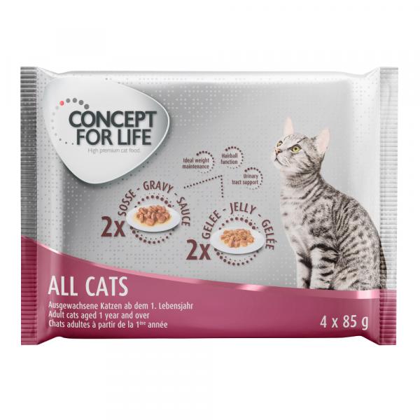 Pakiet próbny Concept for Life, 4 x 85 g - All Cats - 2 x w sosie, 2 x w galarecie