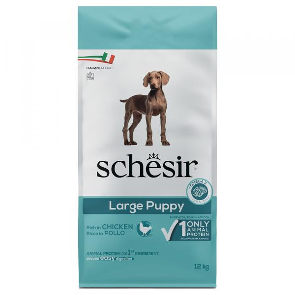 Schesir Dog Large Puppy, z kurczakiem - 12 kg