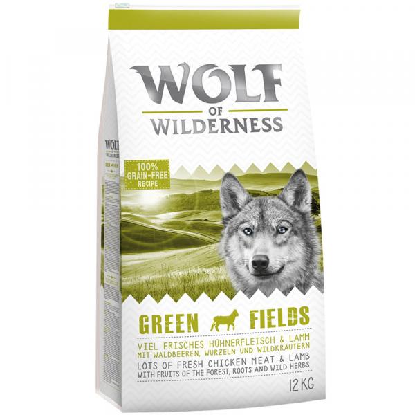 Korzystny pakiet Wolf of Wilderness, 2 x 12 kg - Adult Mix: jagnięcina, jelenina