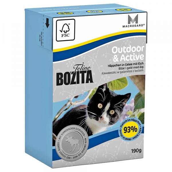 Bozita Feline w galarecie, 6 x 190 g - Outdoor & Active