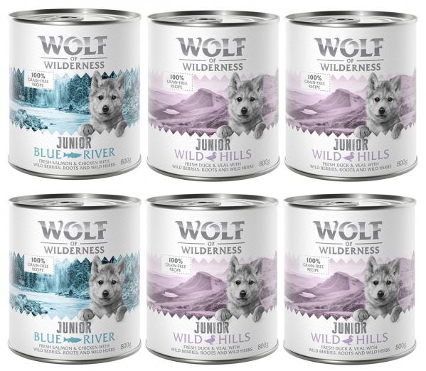 10% taniej! Wolf of Wilderness, karma mokra, 6 x 800 g - Pakiet mieszany JUNIOR: 4x kaczka i cielęcina, 2x kurczak i łosoś