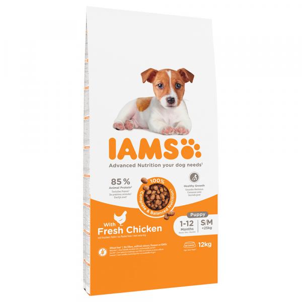 10 + 2 kg gratis! IAMS Advanced Nutrition, karma sucha dla psa, 12 kg - Puppy Small / Medium Breed, kurczak