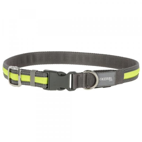 Kerbl Pet Light & Reflex podświetlana smycz dla psa - 120 cm dł., 25 mm szer.