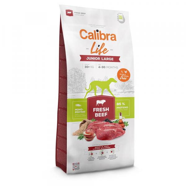 Calibra Life Junior Large Breed, ze świeżą wołowiną - 12 kg