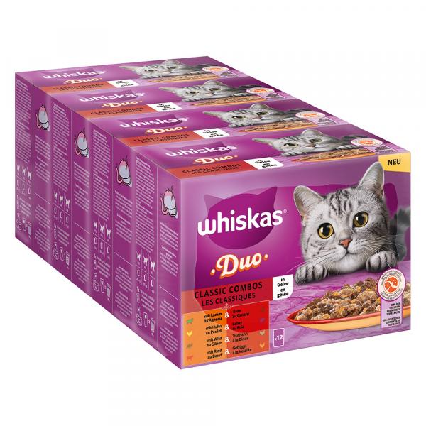 Pakiet Whiskas Duo, saszetki, 48 x 85 g - Classic Combos w galarecie