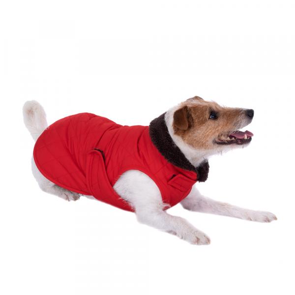 Pikowany płaszczyk dla psa - Dł. grzbietu ok. 60 cm