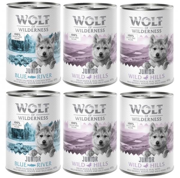 5 + 1 gratis! Wolf of Wilderness, 6 x 400 g - Junior, Pakiet mieszany: 4x kaczka i cielęcina, 2x kurczak i łosoś