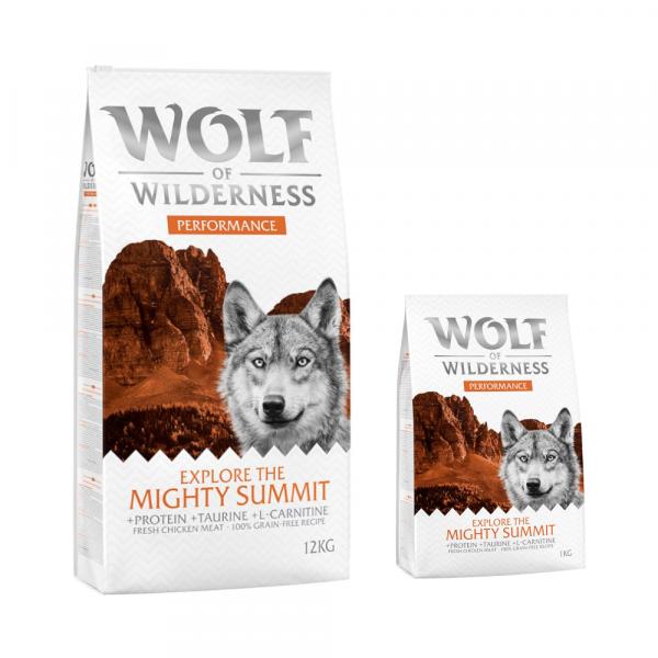 12 + 2 kg gratis! Wolf of Wilderness, karma sucha, 14 kg - \