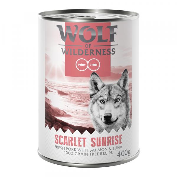 Wolf of Wilderness \