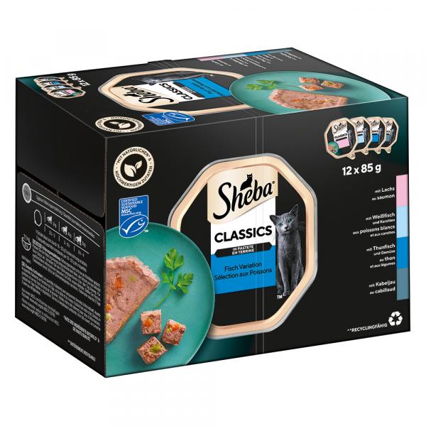 Megapakiet Sheba tacki, 96 x 85 g - Classics (pasztet)