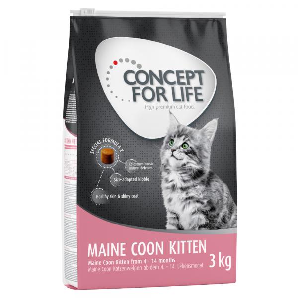 Concept for Life Maine Coon Kitten - Ulepszona receptura! - 3 kg