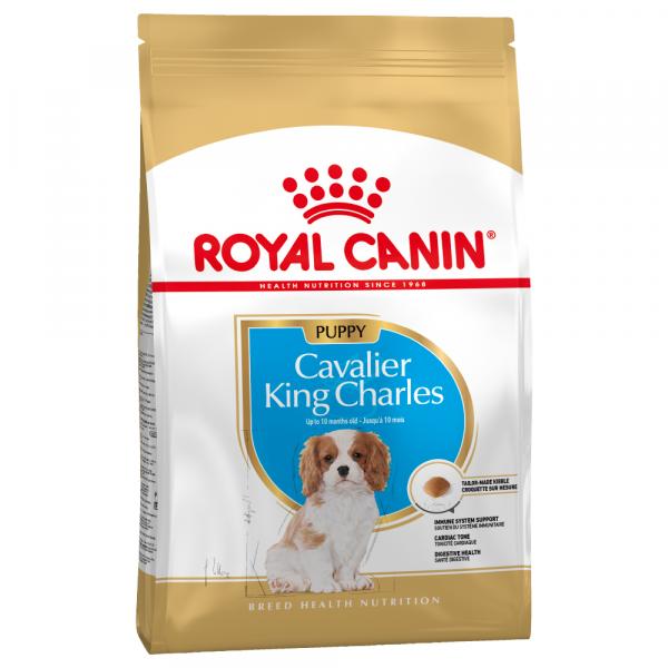 Royal Canin Cavalier King Charles Puppy - 1,5 kg