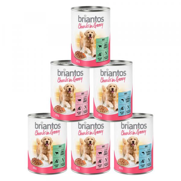 Mieszany pakiet próbny Briantos Chunks w sosie - 24 x 415 g