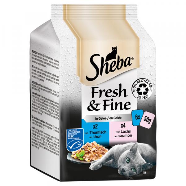 Sheba Fresh & Fine, 6 x 50 g - Tuńczyk i łosoś w galarecie