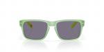 Okulary przeciwsłoneczne dziecięce Oakley HOLBROOK XXS wielokolorowe OJ9014-05