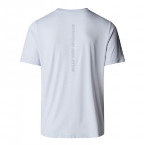 Koszulka męska The North Face MA 24/7 S/S GRAPHIC szara NF0A8BP80TI