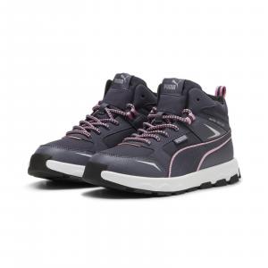 Buty sportowe dziecięce Puma EVOLVE TRAIL JR szare 39764403