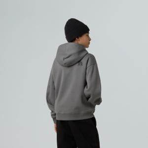 Bluza z kapturem chłopięca The North Face SPORTS OVERSIZED GRAPHIC szara NF0A8EAM0UZ