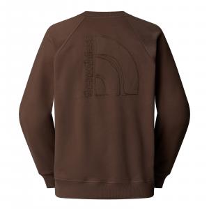 Bluza męska The North Face LOGO RMST brązowa NF0A8C361OI