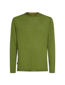 Longsleeve męski Icebreaker MER 125 COOL-LITE SPHERE III zielony IB0A56ZL0BD